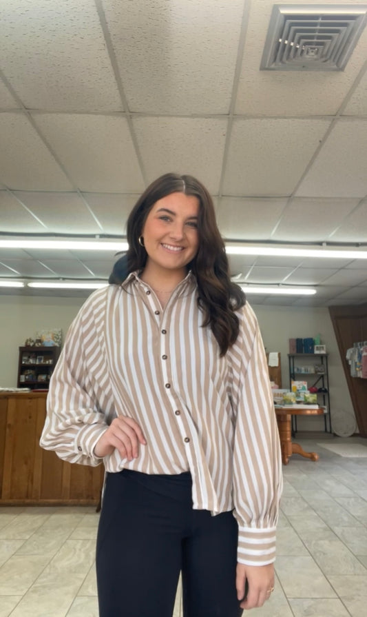 Ladies Brown And White Striped Top